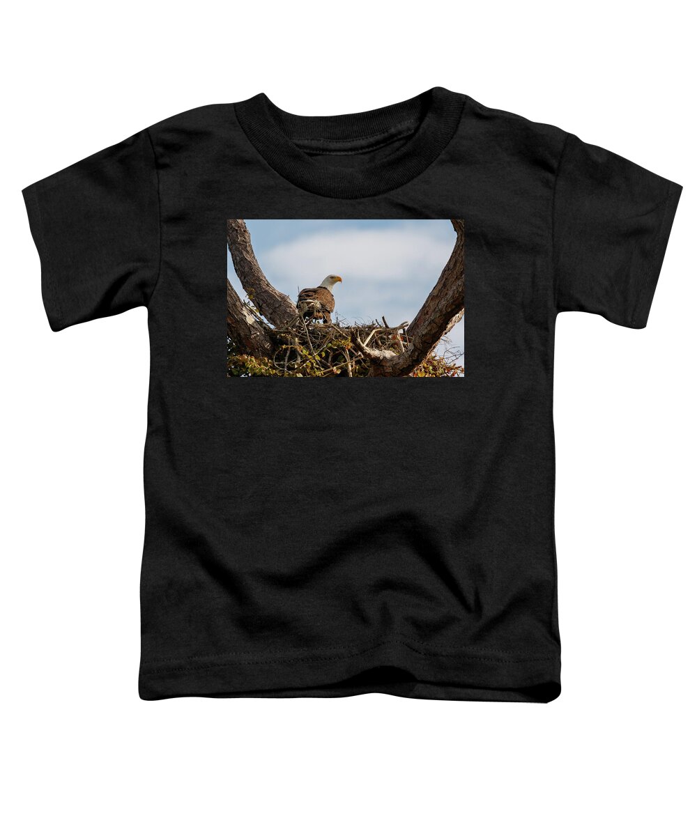 Eagles Toddler T-Shirt featuring the photograph Eagles 2020 by Les Greenwood
