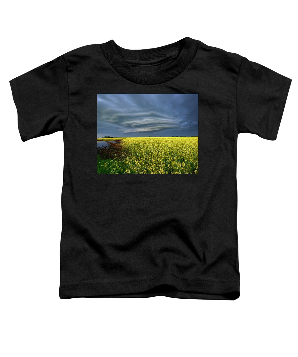 Landscape Toddler T-Shirt featuring the photograph Early Morning Supercell by Dan Jurak