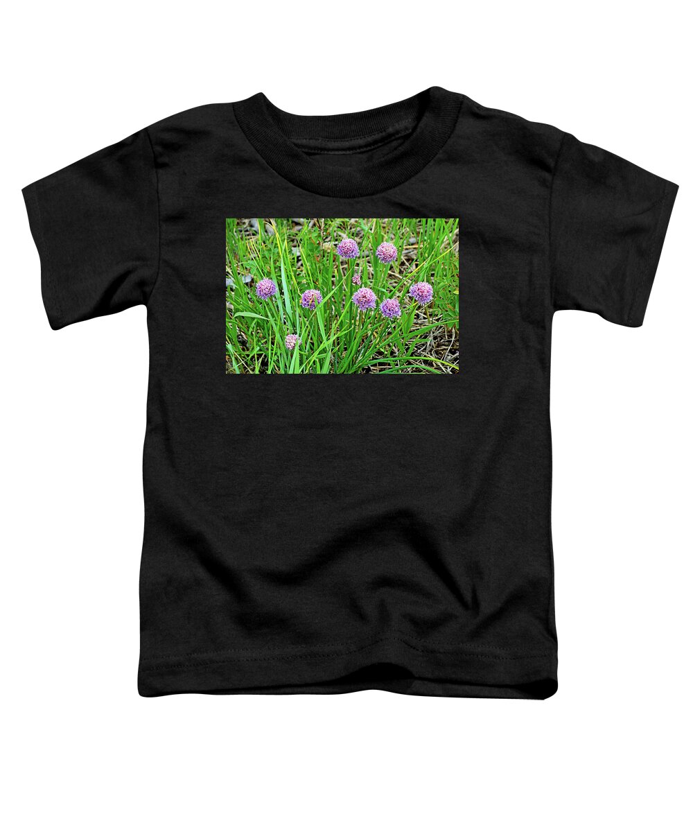 Estes Park Toddler T-Shirt featuring the photograph Estes Park 2020 Study 15 by Robert Meyers-Lussier