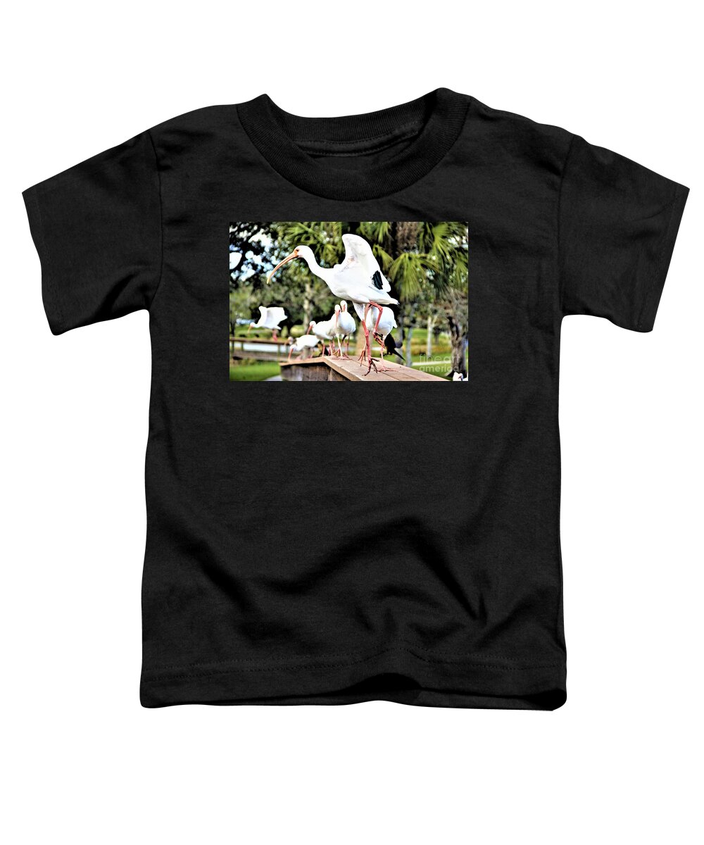 Everybody Jump Toddler T-Shirt featuring the photograph Everybody Jump by Philip And Robbie Bracco