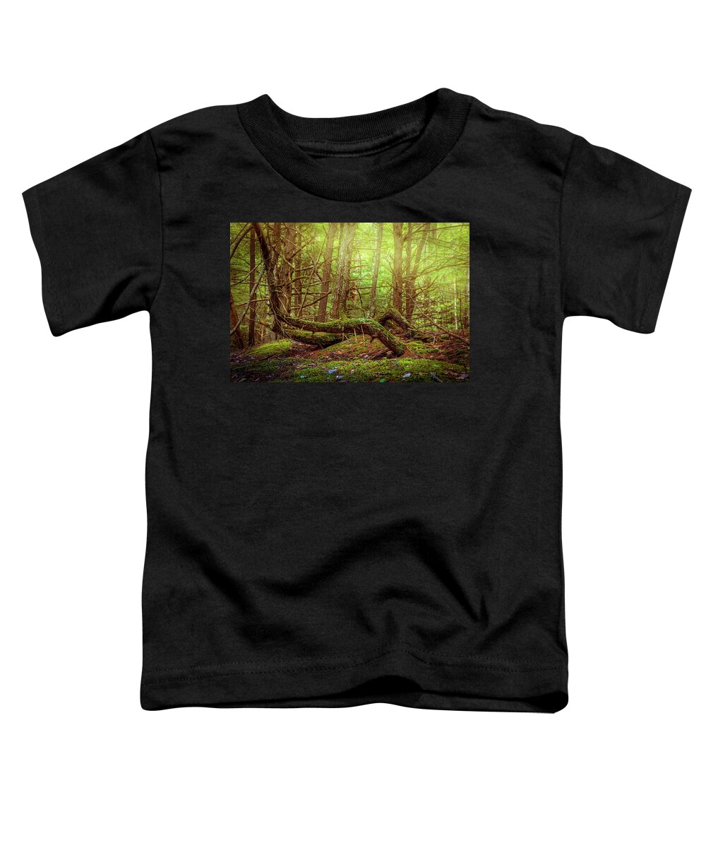 Deep In The Woods Toddler T-Shirt featuring the photograph Fantasy woods 1 by Lilia S