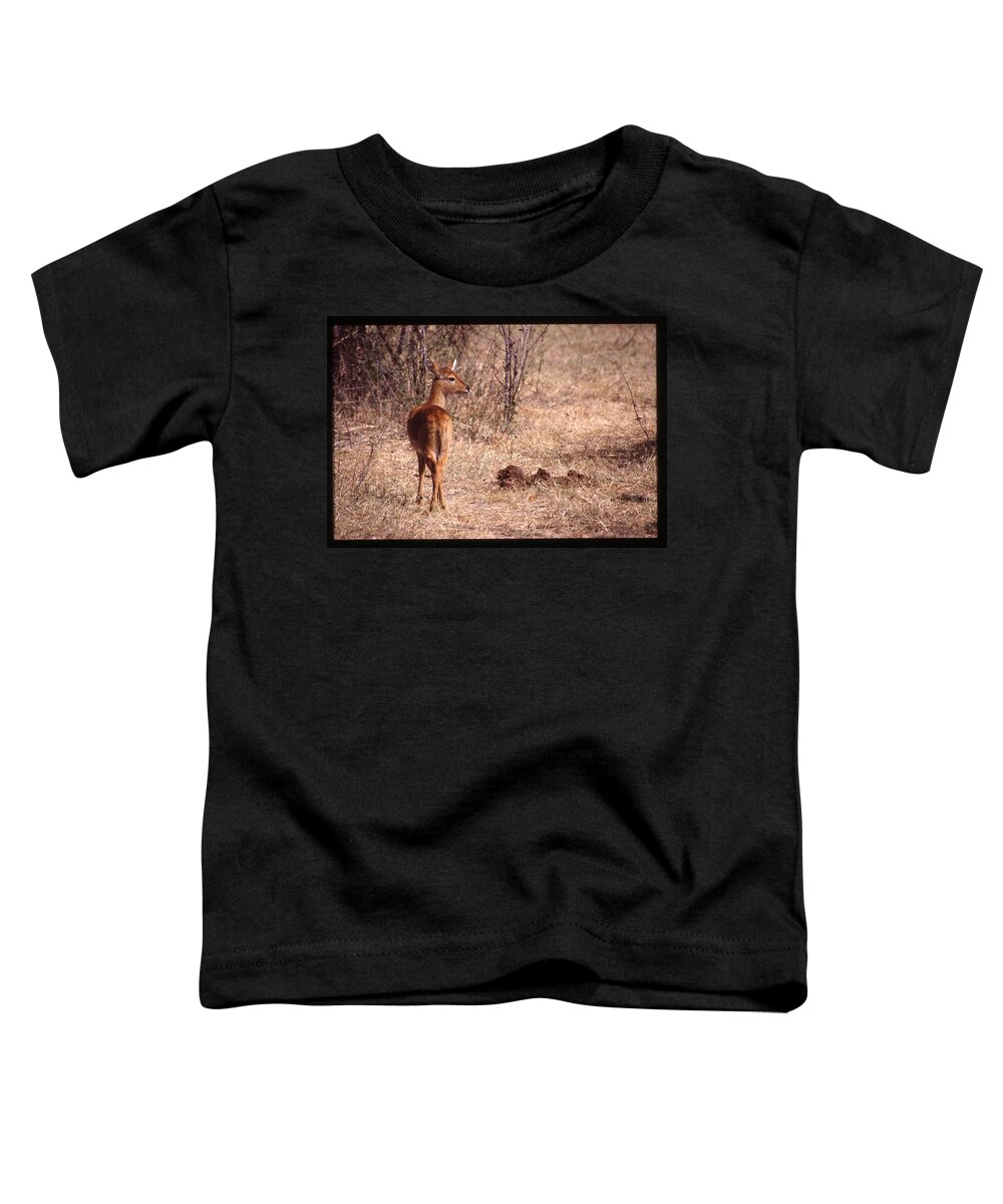 Africa Toddler T-Shirt featuring the photograph Female Impala Looking Right by Russel Considine