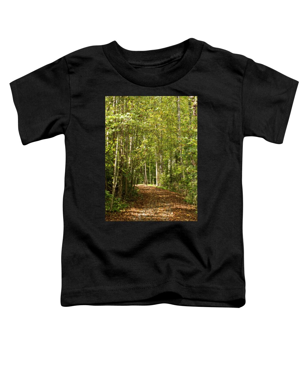 Arcing Toddler T-Shirt featuring the photograph First Day of Fall Glows by Charles Floyd