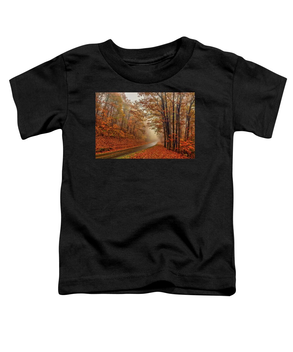 Autumn Toddler T-Shirt featuring the photograph Foggy Autumn Parkway by Dan Carmichael