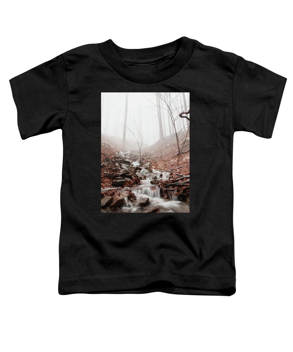Foggy Toddler T-Shirt featuring the photograph Foggy morning in a deciduous forest by Vaclav Sonnek