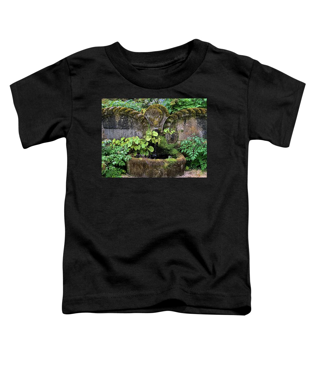 Fountain Toddler T-Shirt featuring the photograph Fountain of Youth by Jill Love