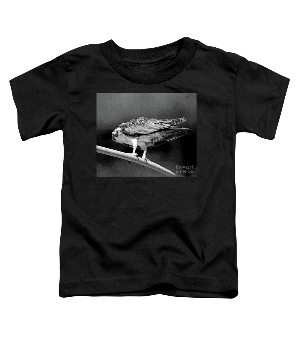 Osprey Toddler T-Shirt featuring the photograph Full Focus by Joanne Carey