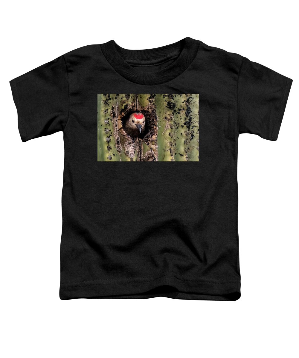 Gila Woodpecker Toddler T-Shirt featuring the photograph Gila Woodpecker 6962-031923-3 by Tam Ryan