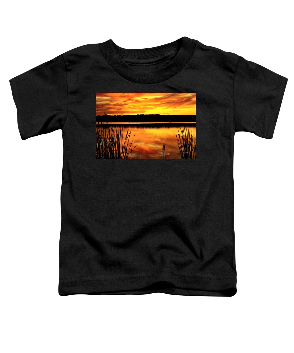 Sunset Toddler T-Shirt featuring the photograph Glorious Sunset by Mary Walchuck
