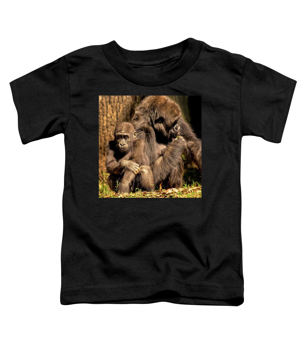 Gorilla Toddler T-Shirt featuring the photograph Gorilla Family by Karen Cox
