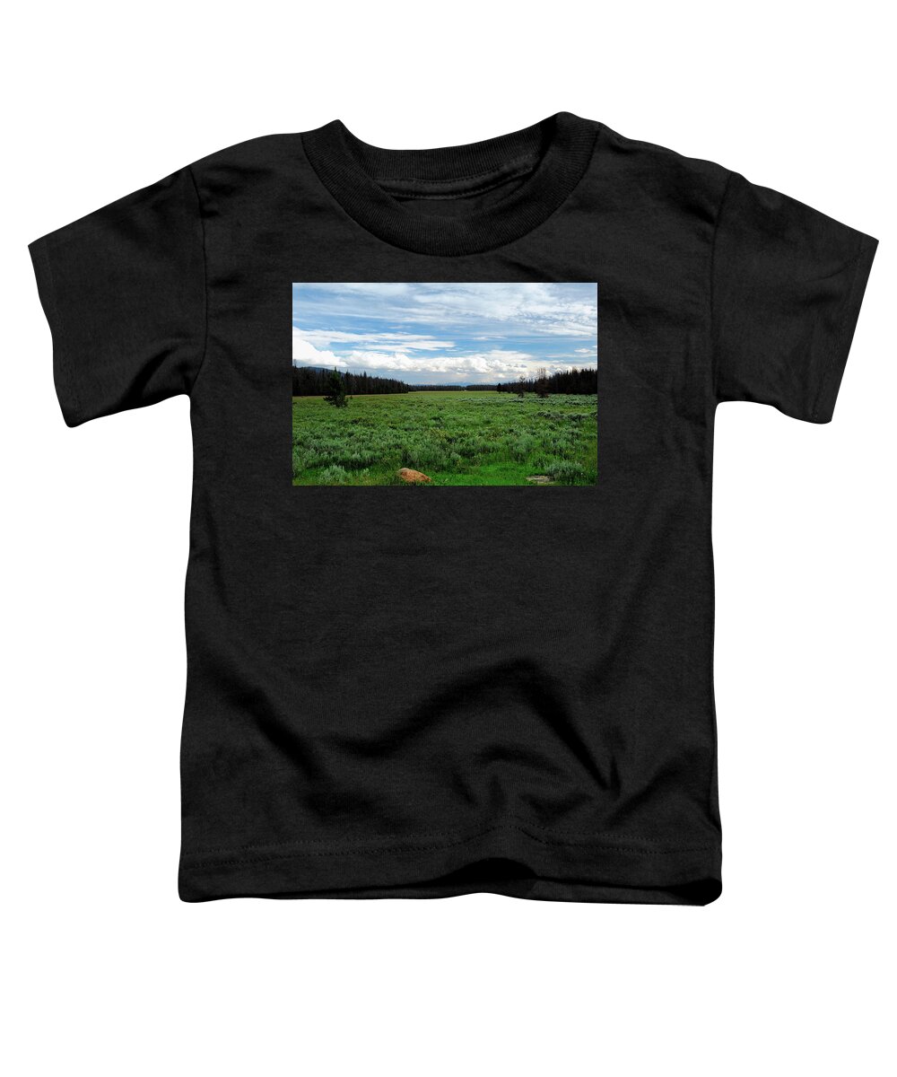 Co Toddler T-Shirt featuring the photograph Grand County by Doug Wittrock