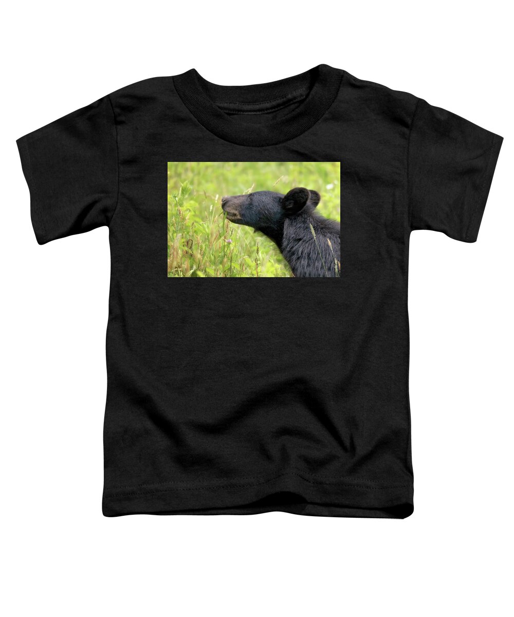 Bear Toddler T-Shirt featuring the photograph Great Smoky Mountains Black Bear - Eat Your Vegetables by Susan Rissi Tregoning