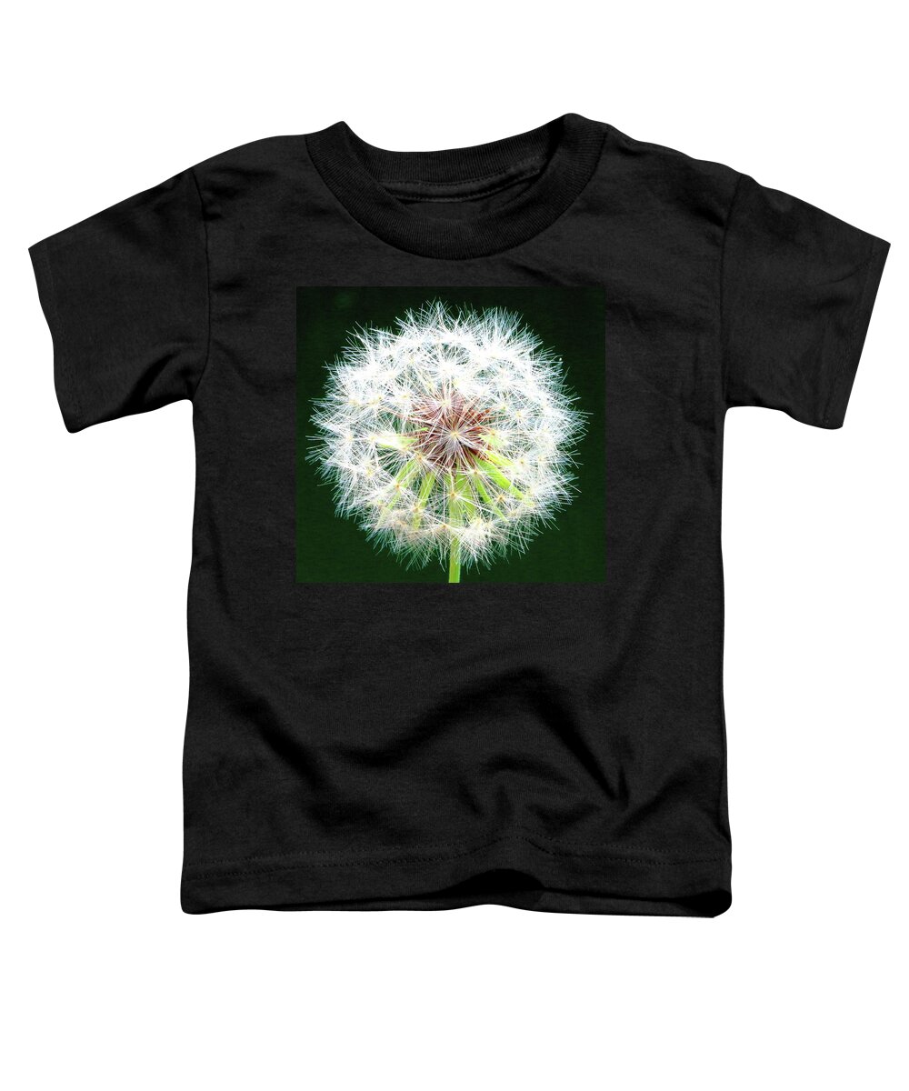 Dandelion Toddler T-Shirt featuring the photograph Green Geometry by Larry Beat