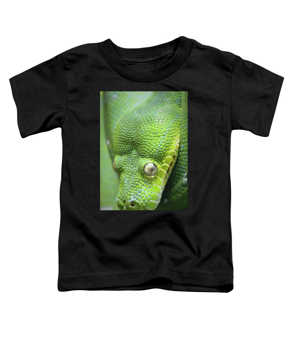 Green Toddler T-Shirt featuring the photograph Green With Envy by Lens Art Photography By Larry Trager