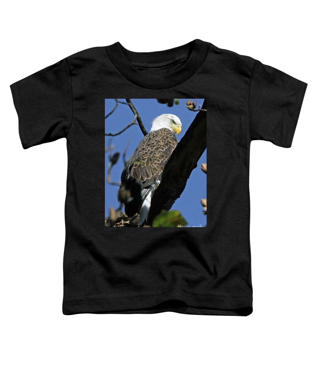 Bald Eagles Toddler T-Shirt featuring the photograph His Domain by Geoff Crego