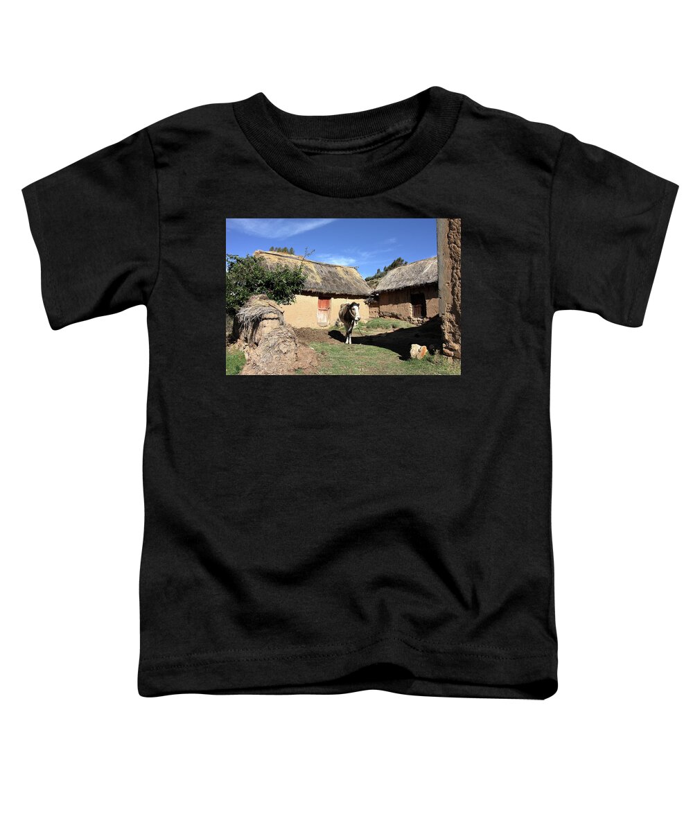 Homestead Toddler T-Shirt featuring the photograph Homestead on the Island of the Sun by Aidan Moran