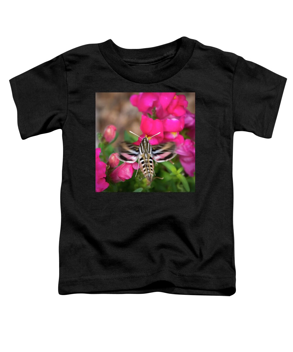 Colorado Flowers Toddler T-Shirt featuring the photograph Hummingbird Moth in Motion by Debra Martz
