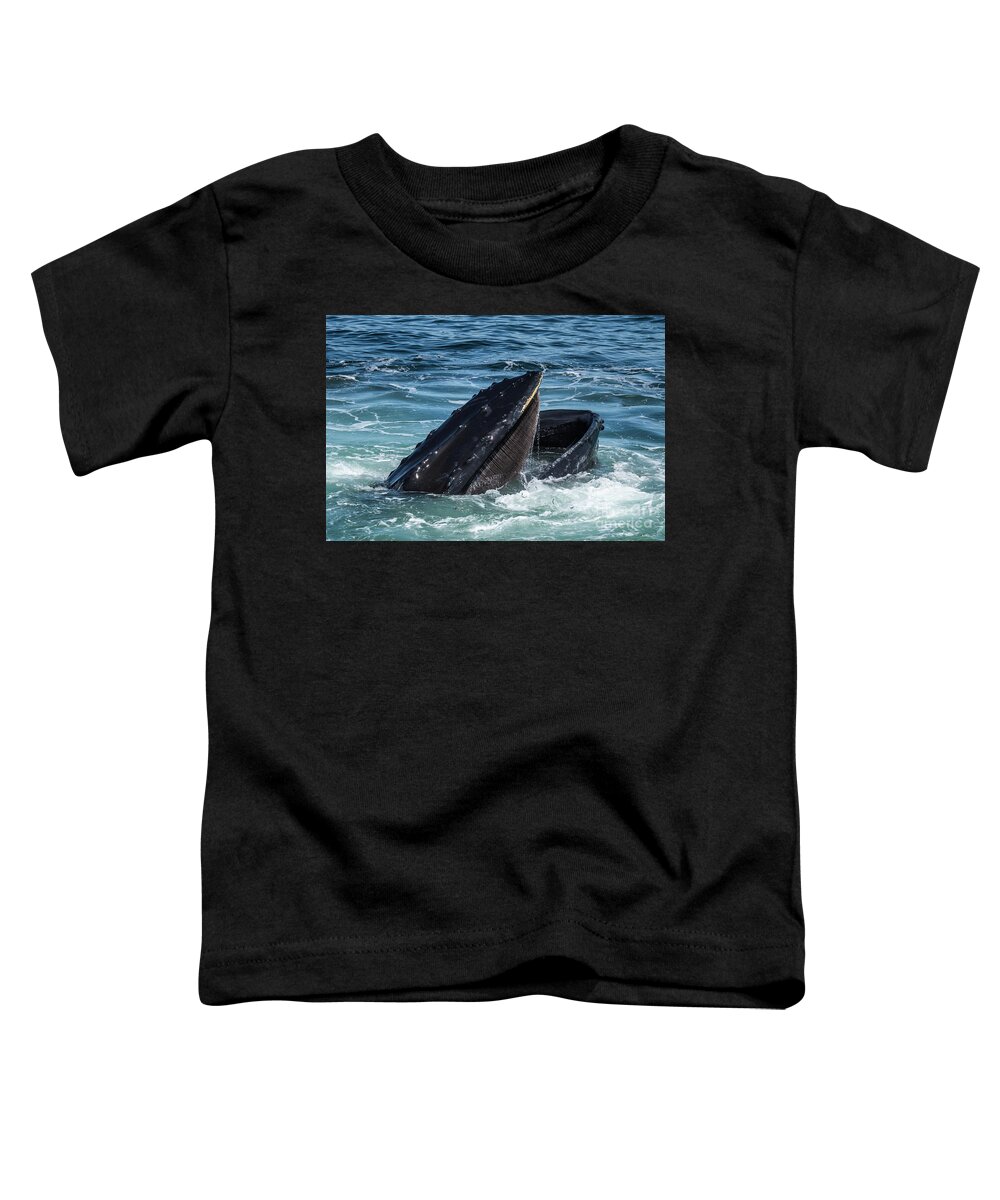 Ocean Toddler T-Shirt featuring the photograph Humpback Feeding on Sand Lance by Lorraine Cosgrove