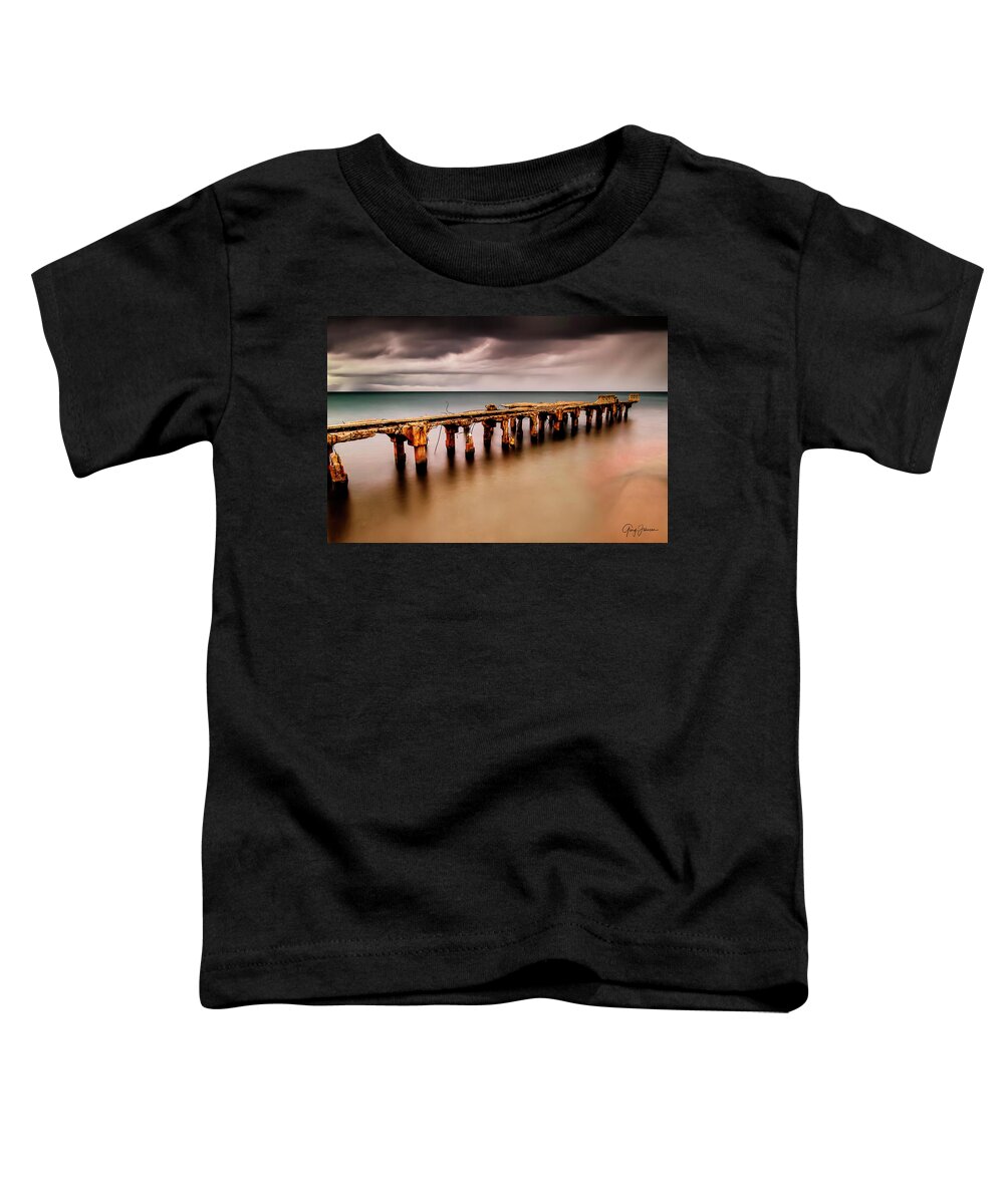 Hawaii Toddler T-Shirt featuring the photograph Hurricane Survivor In Color by Gary Johnson