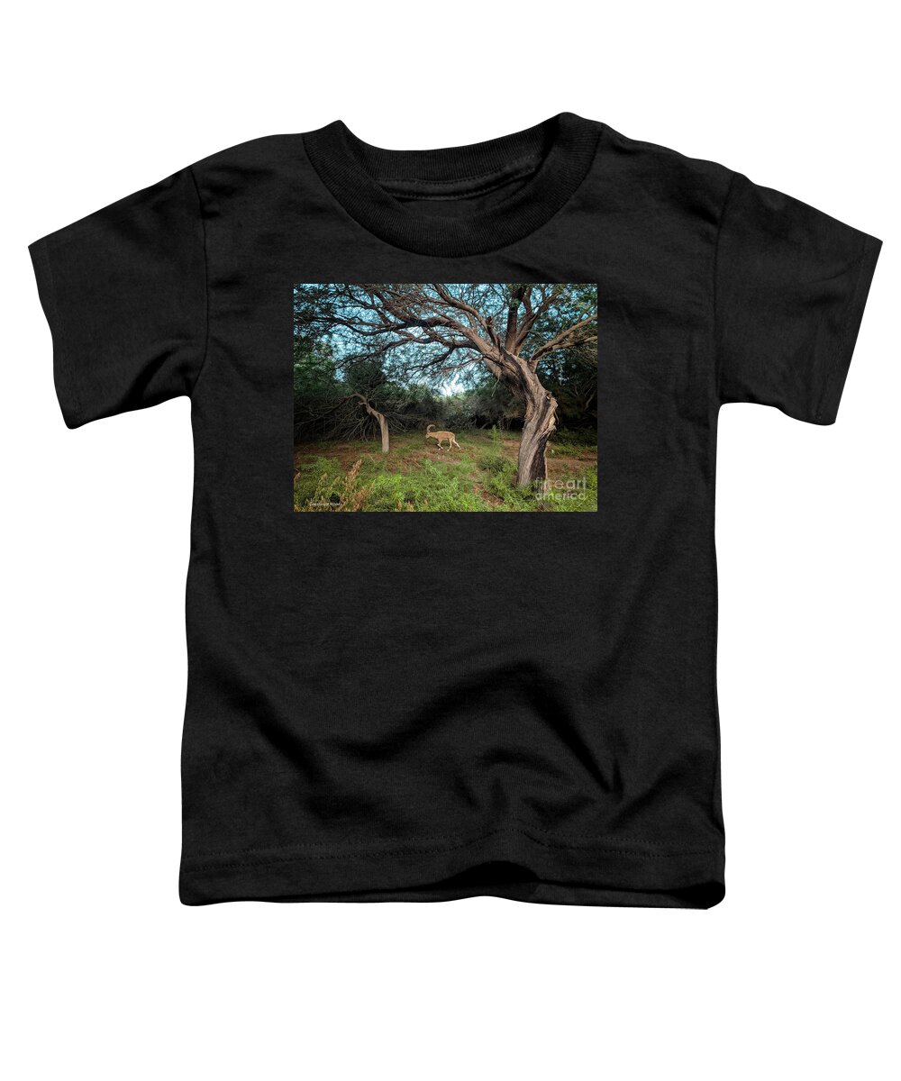 Ibex Toddler T-Shirt featuring the digital art Ibex in the Negev by Constance Woods