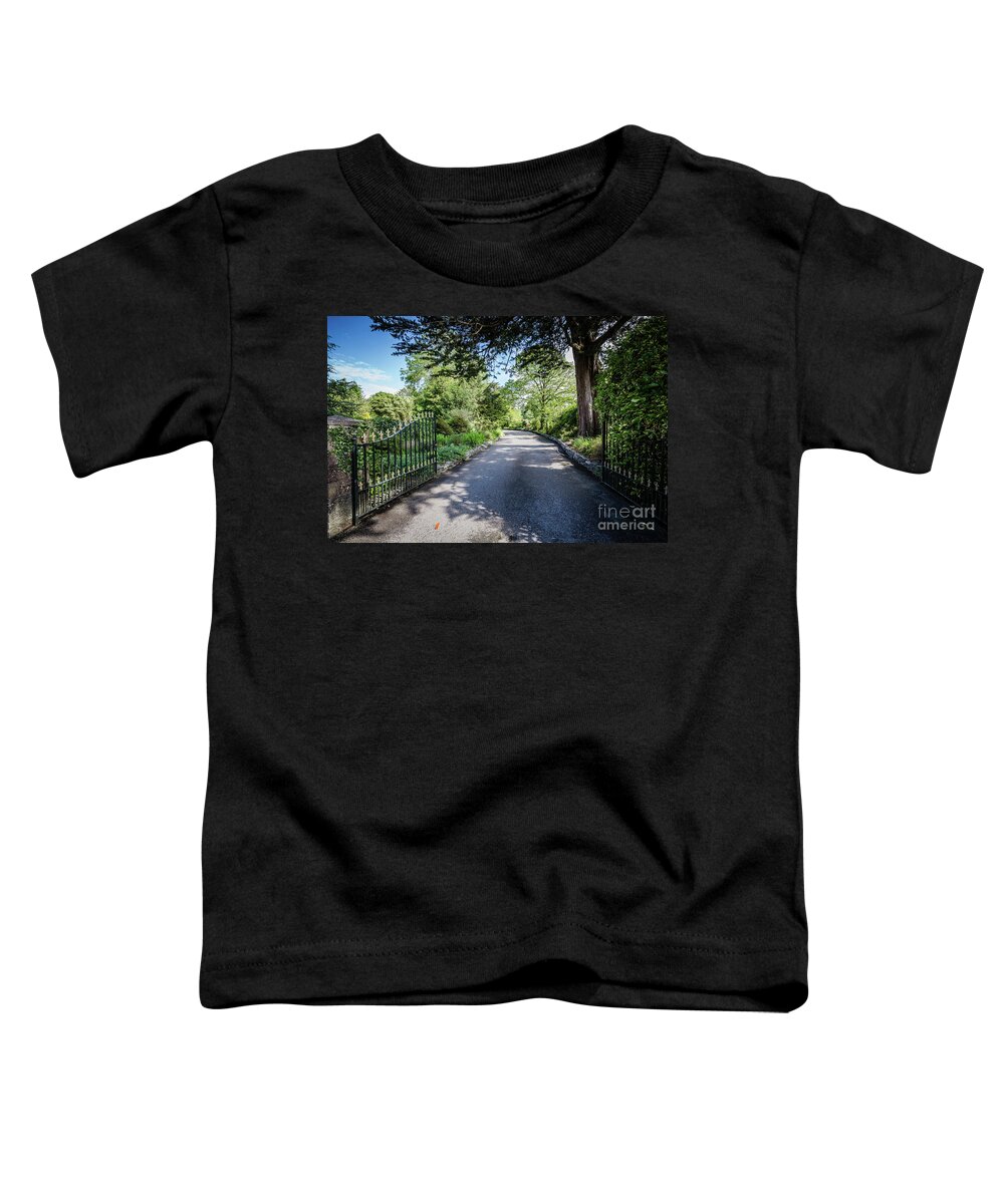 Kenmare Toddler T-Shirt featuring the photograph Inviting by Eva Lechner