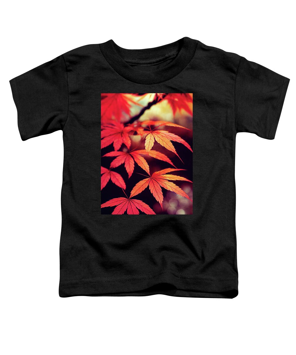 Japanese Maple Toddler T-Shirt featuring the digital art Japanese Maple 02 Red Leaves by Matthias Hauser