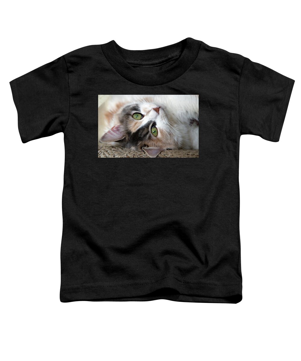 Cat Toddler T-Shirt featuring the photograph Jaz by Robert Dann
