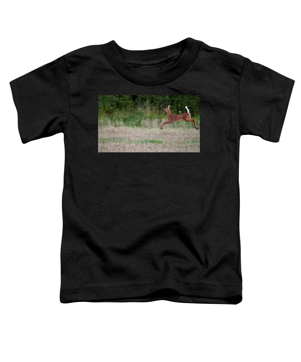 Finland Toddler T-Shirt featuring the photograph Jump and fly. White-tailed deer by Jouko Lehto