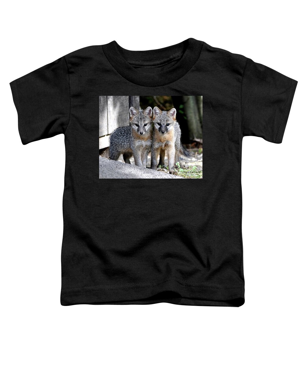 Kit Fox Toddler T-Shirt featuring the photograph Kit Fox6 by Torie Tiffany