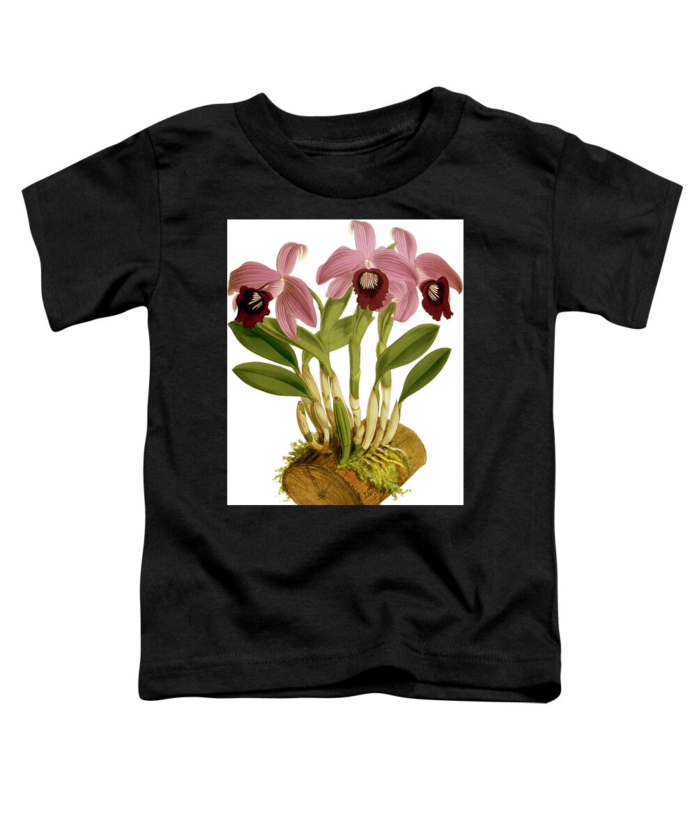 Orchid Toddler T-Shirt featuring the mixed media Laelia Dayana Orchid by World Art Collective