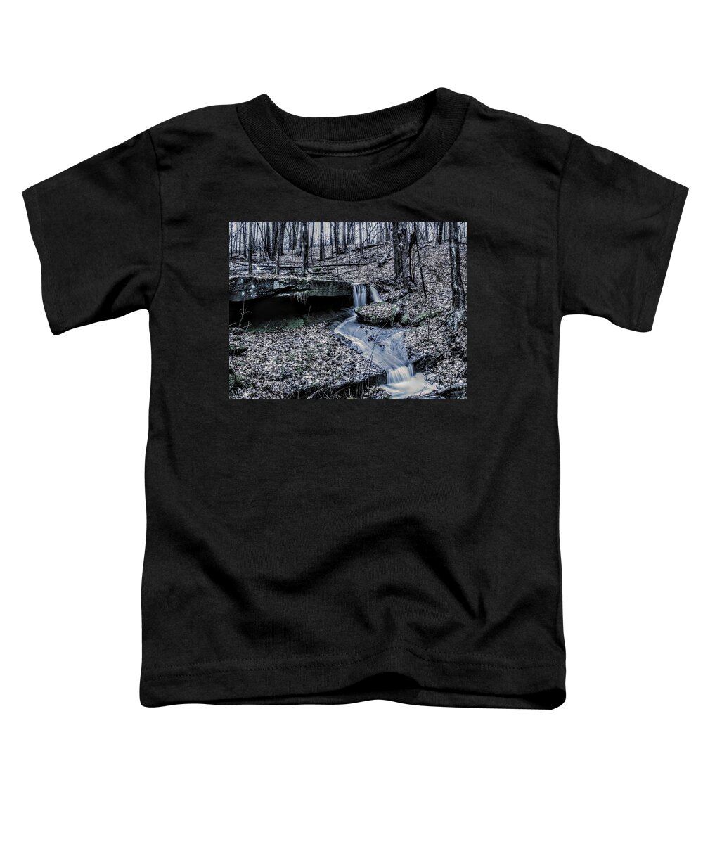  Toddler T-Shirt featuring the photograph Liberty Park in the Fall by Brad Nellis
