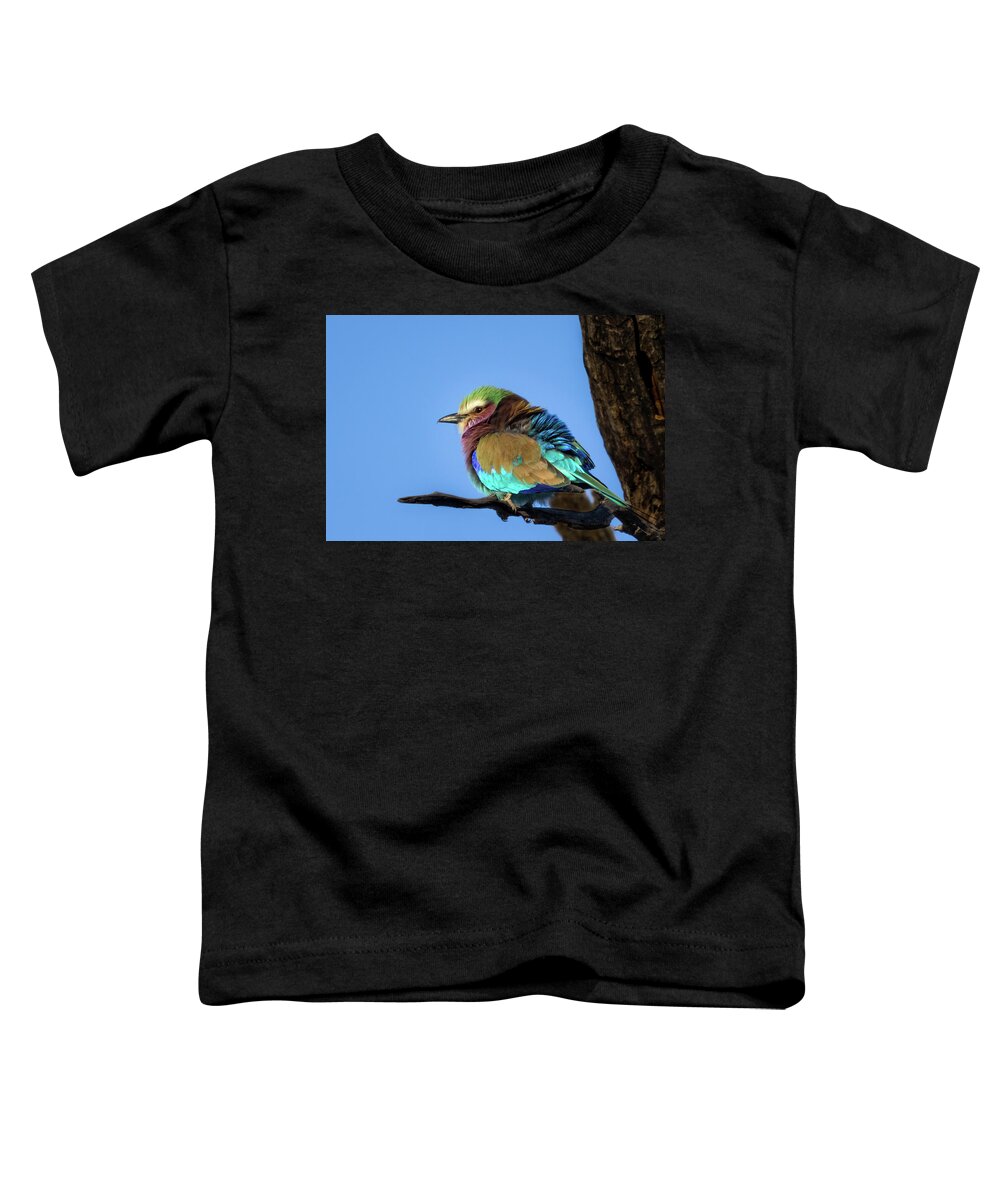 Lilac-breasted Roller Toddler T-Shirt featuring the photograph Lilac-Breasted Roller by Elvira Peretsman