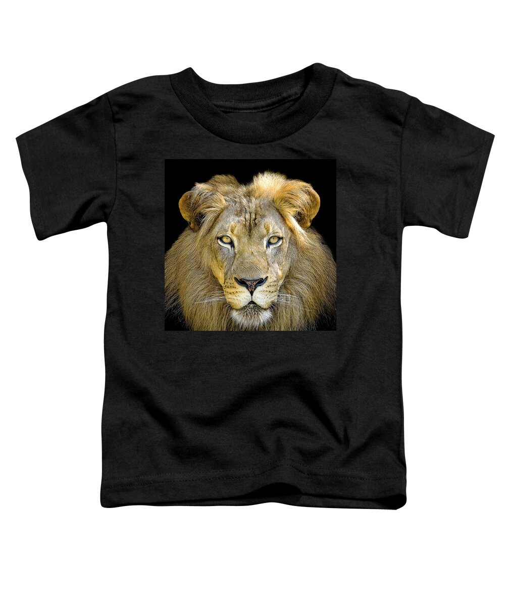 Lion Toddler T-Shirt featuring the photograph Lion King by Cheri Freeman