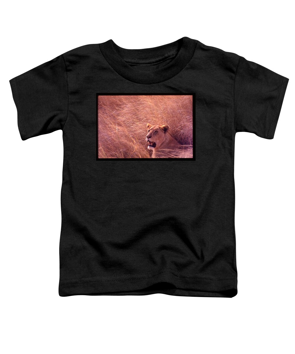 Africa Toddler T-Shirt featuring the photograph Lioness in Tall Grass by Russ Considine