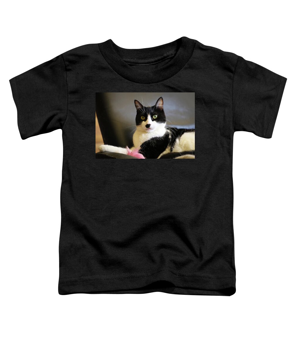 Cat Toddler T-Shirt featuring the photograph Lord of the Manor by Bonnie Follett