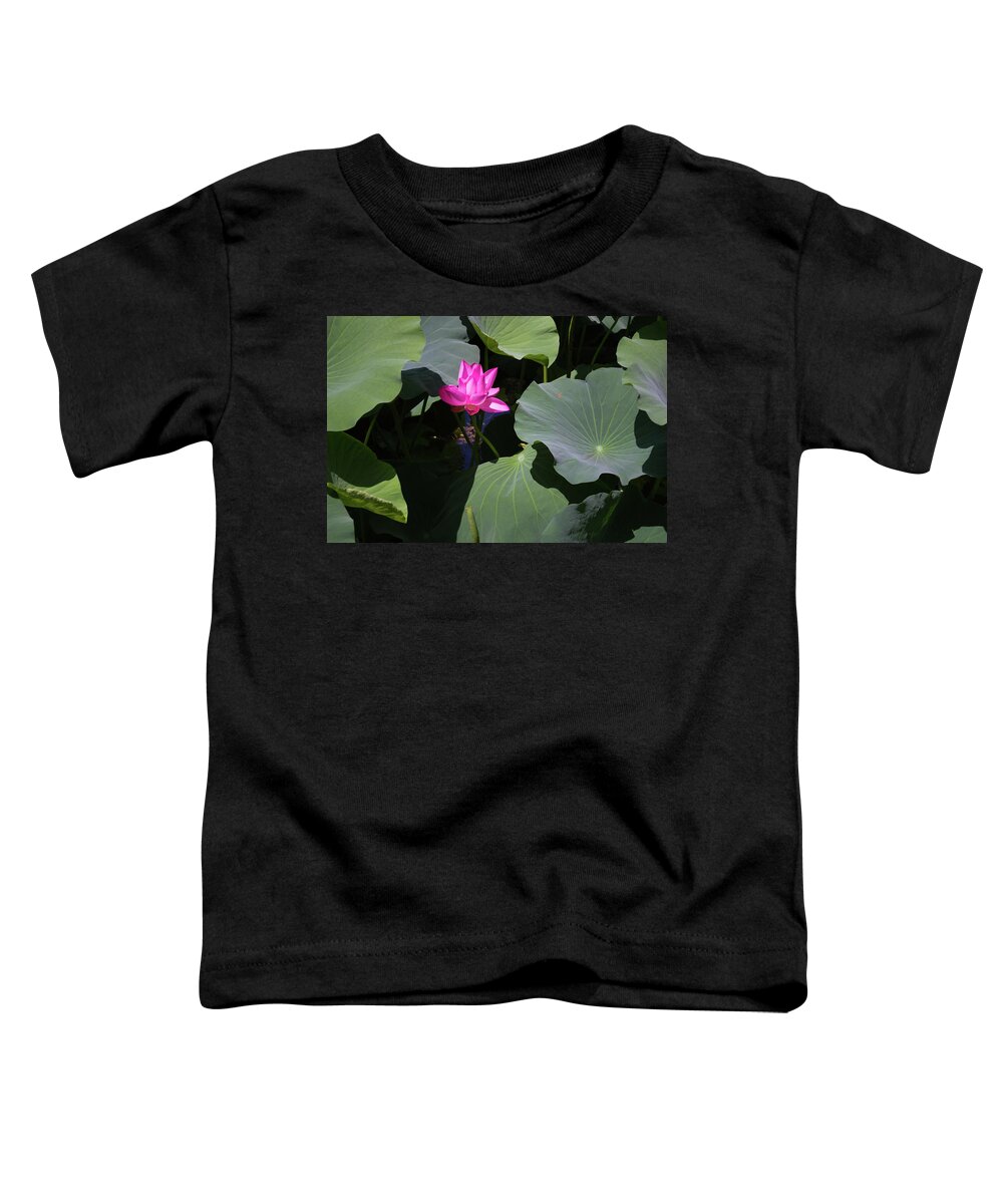 China Toddler T-Shirt featuring the photograph Lotus Flower by Tara Krauss