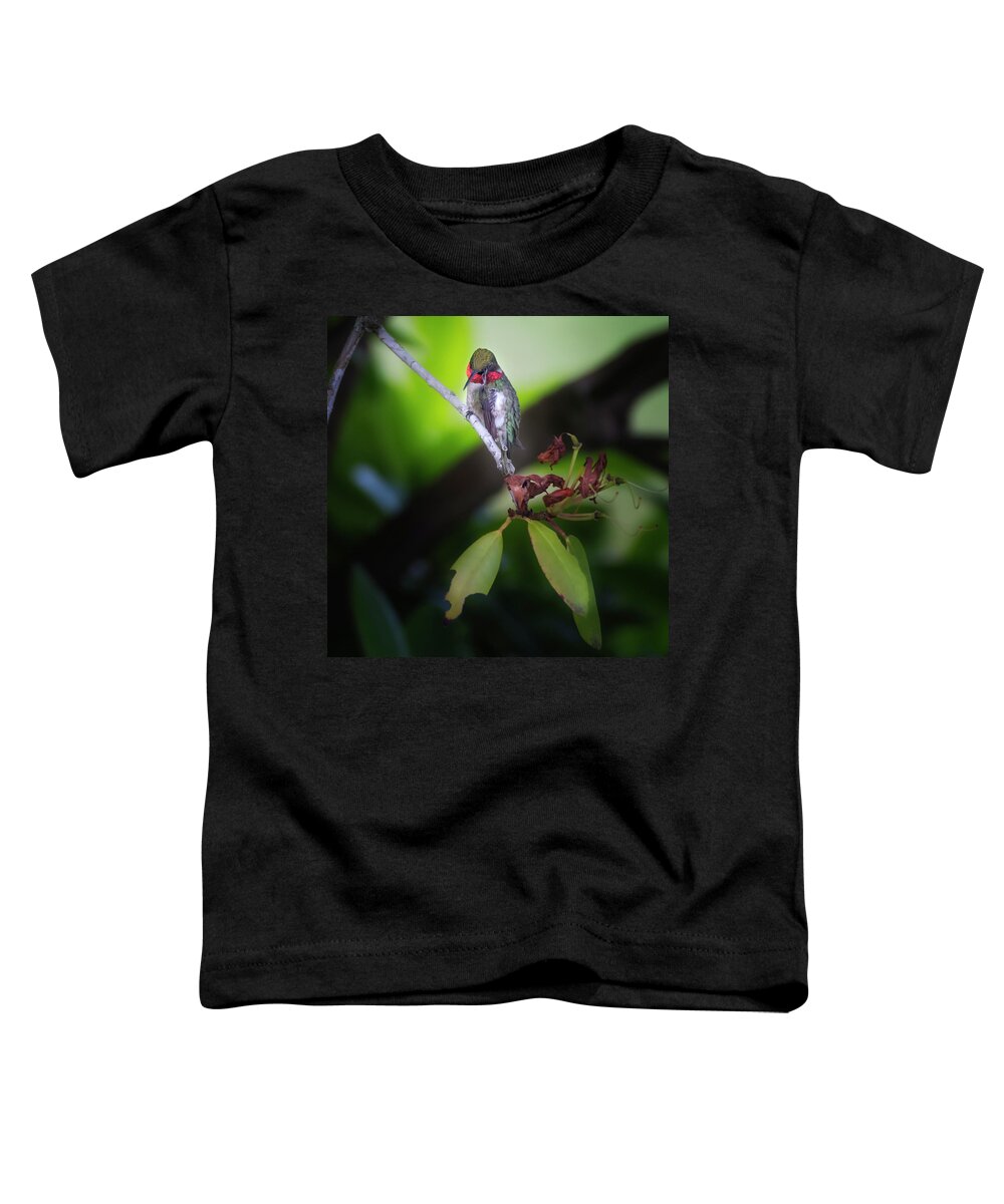 Square Toddler T-Shirt featuring the photograph Male Ruby Throated Hummingbird by Bill Wakeley