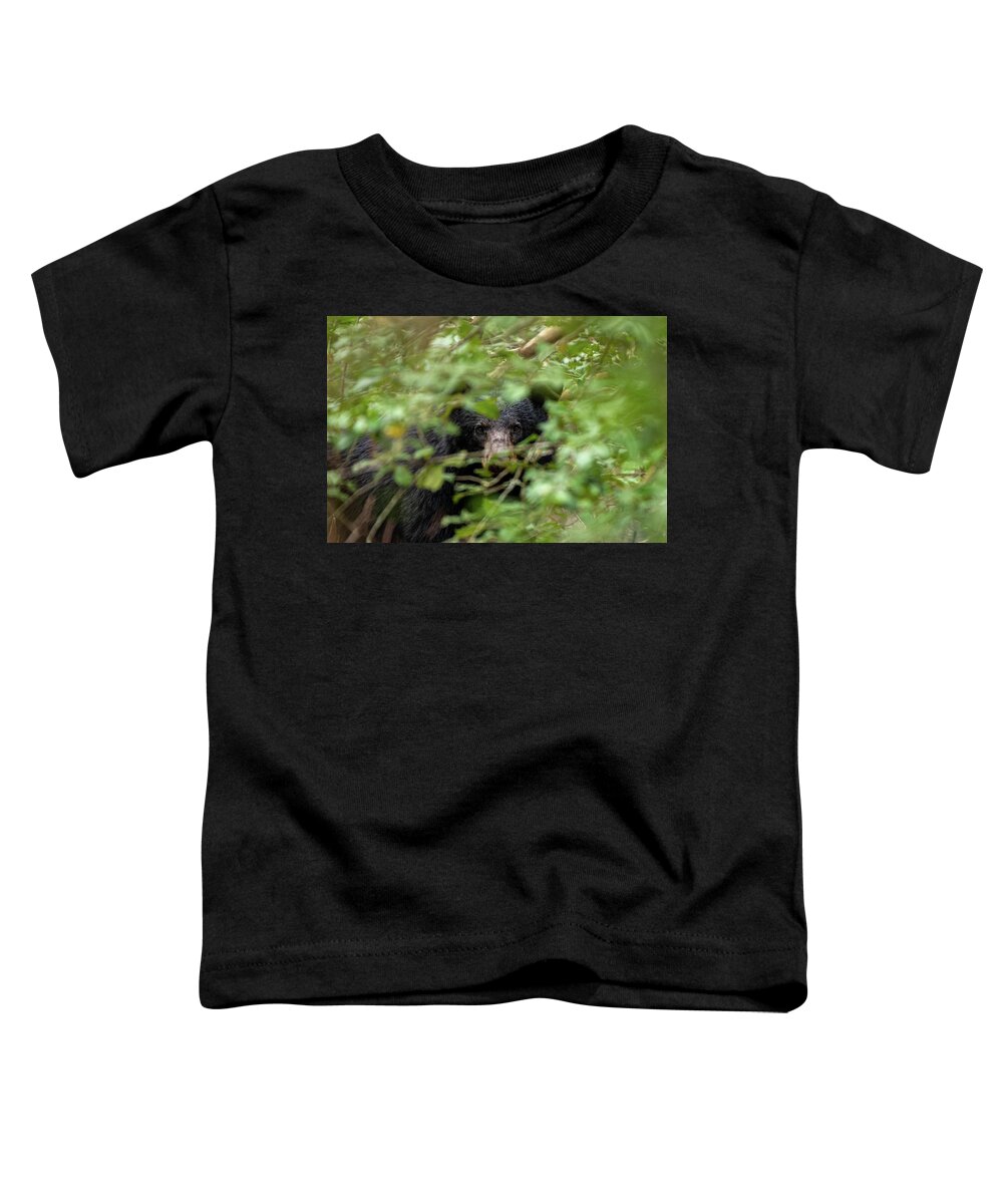 Great Smoky Mountains National Park Toddler T-Shirt featuring the photograph Mama Bear Close Up by Robert J Wagner