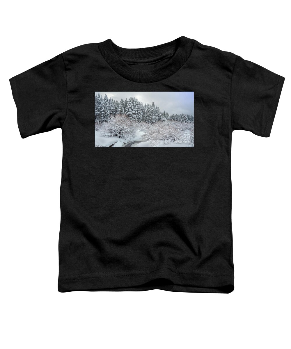 California U.s.a. Toddler T-Shirt featuring the photograph Meadow Creek After The Storm by PROMedias US