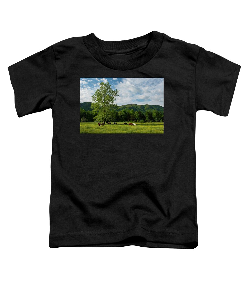 Great Smoky Mountains National Park Toddler T-Shirt featuring the photograph Mountain Valley by Melissa Southern