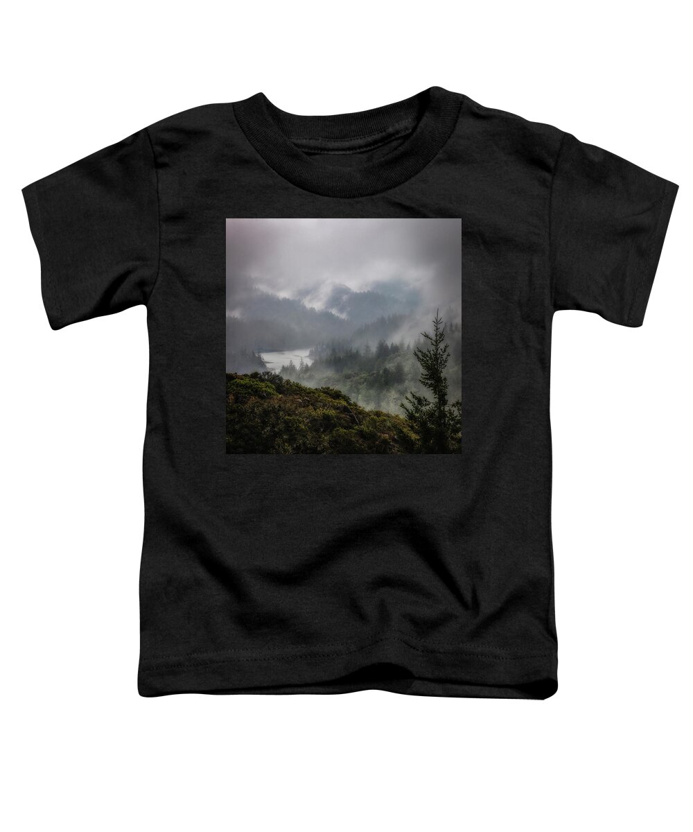 Mt. Tamalpais Toddler T-Shirt featuring the photograph Mt. Tamalpais watershed by Donald Kinney