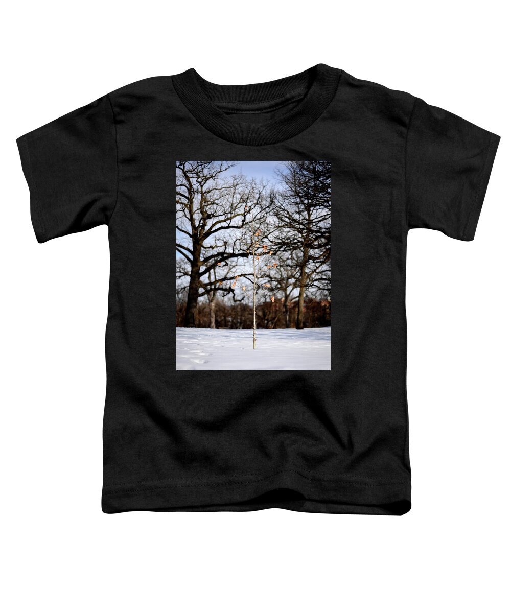 Intimate Landscape Toddler T-Shirt featuring the photograph Napping Birch by James Covello