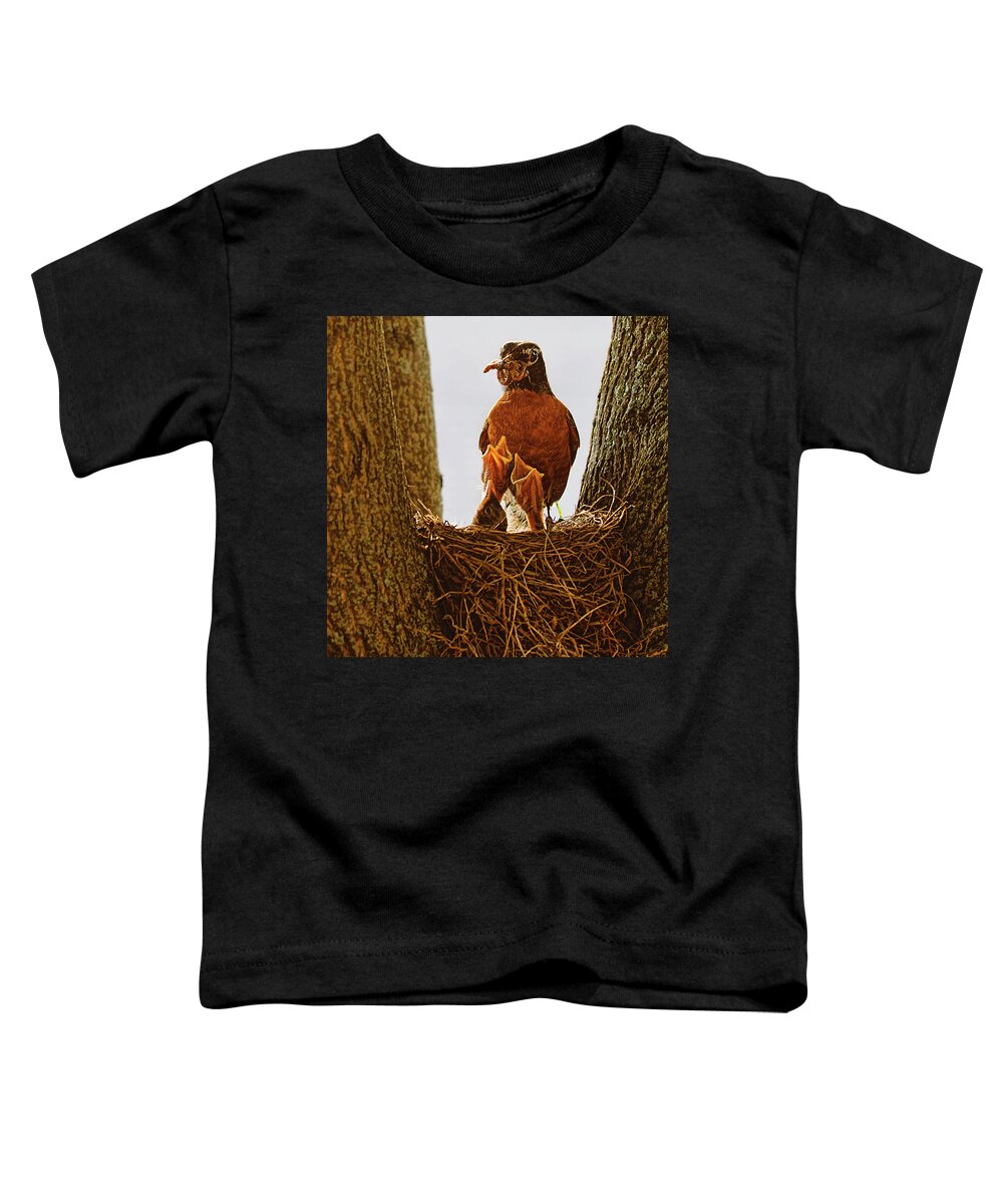 Robins Nest Toddler T-Shirt featuring the photograph New arrivals by Tatiana Travelways
