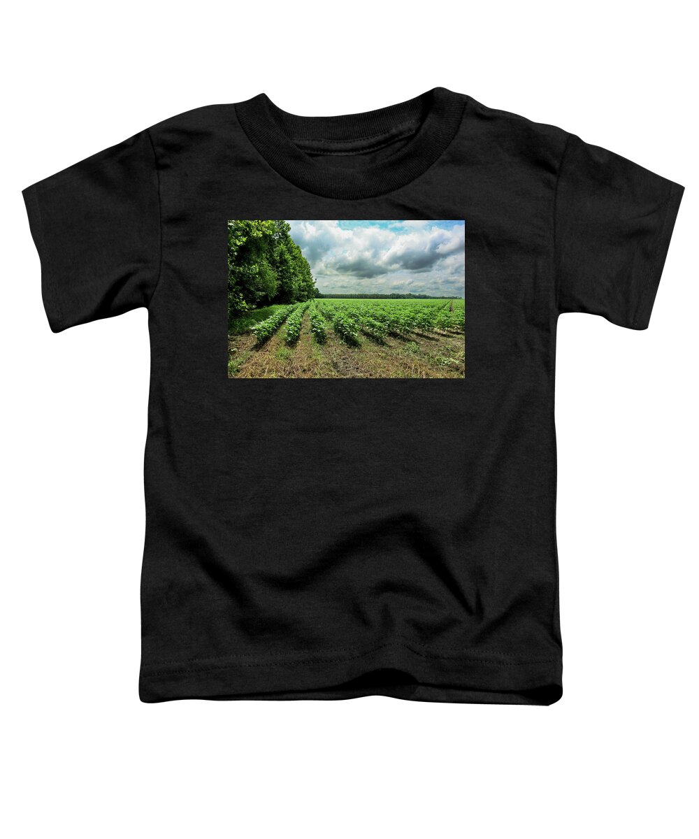 Statesboro Toddler T-Shirt featuring the photograph New Cotton Corner Rows by Ed Williams