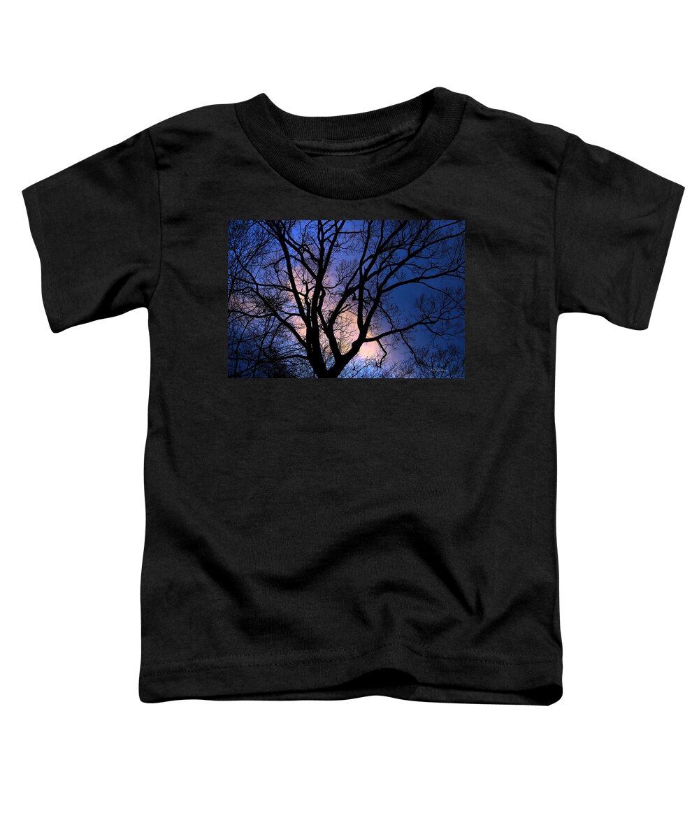 Tree Toddler T-Shirt featuring the photograph November Sky by Mary Walchuck