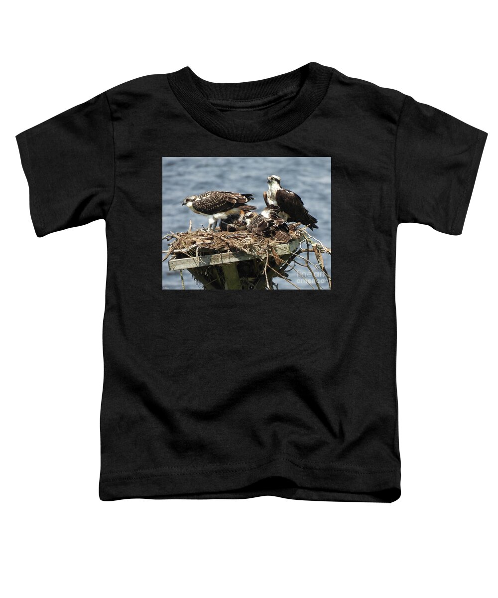 Raptor Toddler T-Shirt featuring the photograph  Osprey 6 Barrington RI by Lizi Beard-Ward