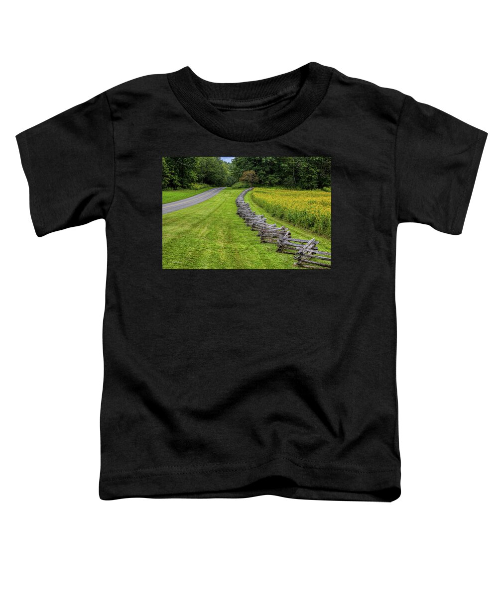 Blue Ridge Parkway Toddler T-Shirt featuring the photograph Parkway Ablaze by Dale R Carlson