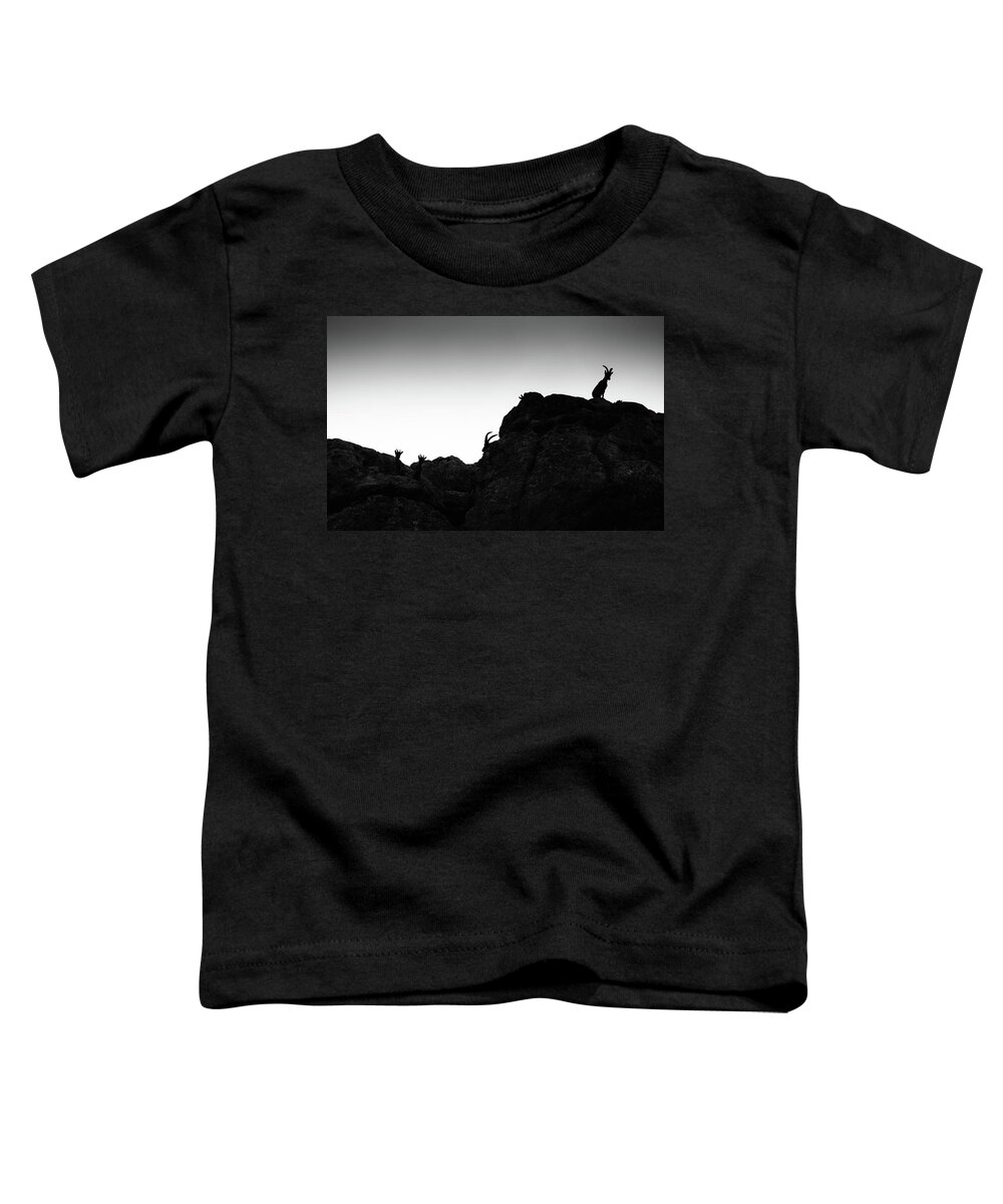Ibex Toddler T-Shirt featuring the photograph Part of the landscape by Gary Browne