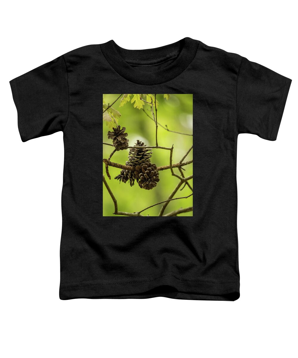 Cone Toddler T-Shirt featuring the photograph Pine Cones by Rick Nelson