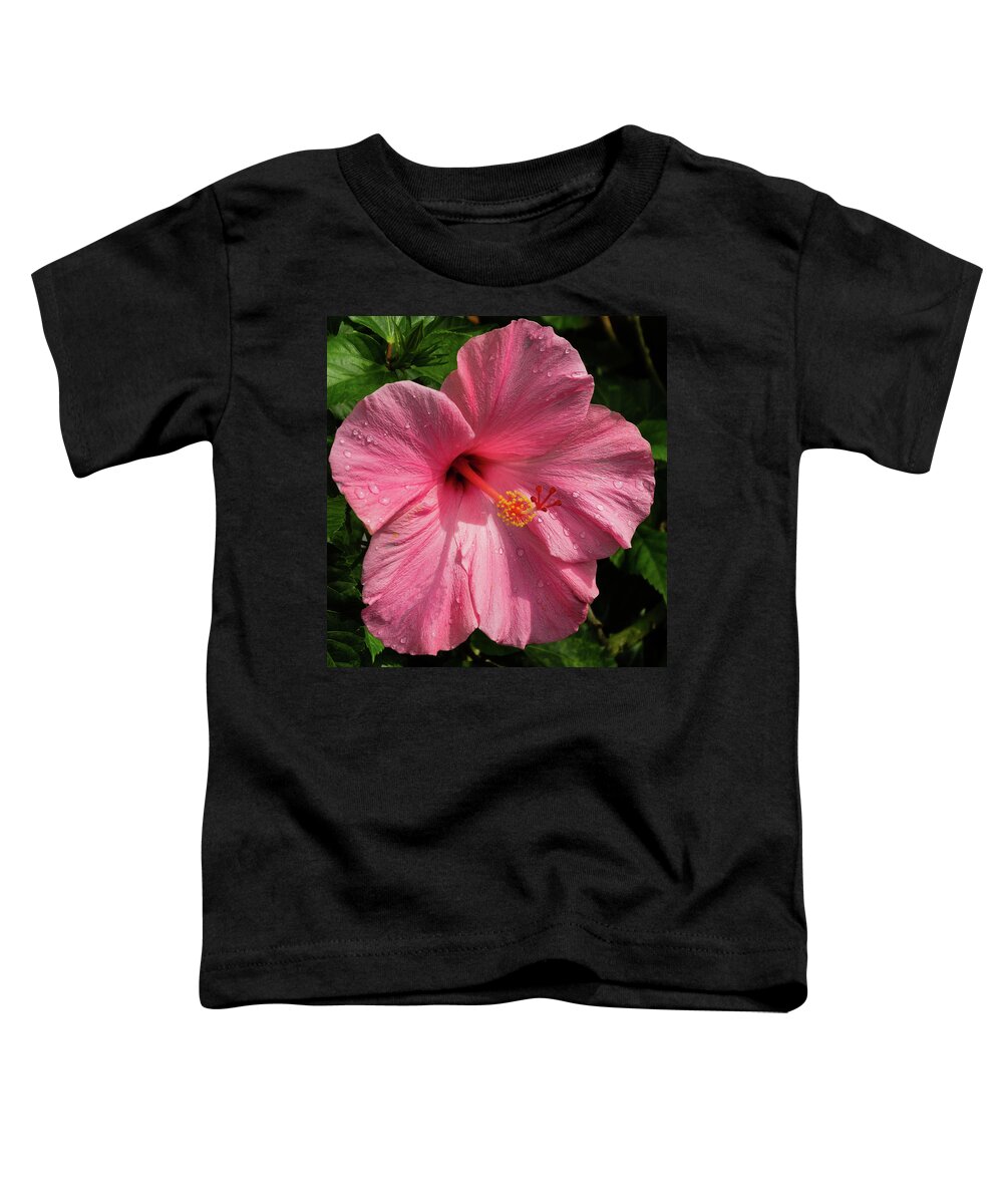 Flower Toddler T-Shirt featuring the photograph Pink Hibiscus by John Roach